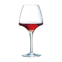 Verre à pied Pro Tasting 32 cl Open Up